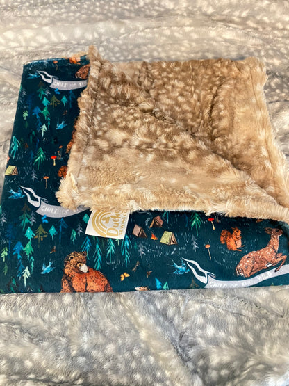 Baby Blankets Minky on Minky